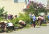 Đại đoàn kết 16/5/2025