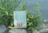 Dám mơ lớn - ĐỪNG HOÀI PHÍ TUỔI TRẺ