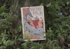 MOBY DICK cá voi trắng