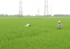 Nhịp cầu nhà nông  23/5/2025