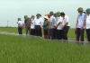 Thời sự truyền hình tối ngày 06/8/2021