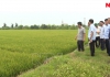 Thời sự truyền hình tối ngày  26/5/2025