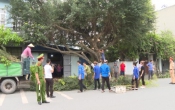 An toàn giao thông  10/5/2024