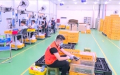 Bản tin đầu tư  14/6/2025