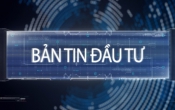 Bản tin đầu tư  24/5/2025