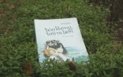 Bèo không trôi ra biển
