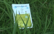 Cây chuối non đi giày xanh