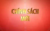 Chính sách mới: Nghị định 01/2021/NĐ-CP về đăng ký doanh nghiệp ( Số 02 )
