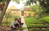 Chuyển động nông thôn  07/11/2022