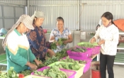 Chuyển động nông thôn (11/01/2021)