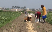 Chuyển động nông thôn ( 13/05/2019 )
