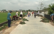 Chuyển động nông thôn ( 16/02/2020 )