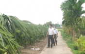 Chuyển động nông thôn (22/8/2021)