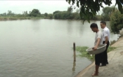 CM  Búa liềm vàng ( 23/09/2018 )