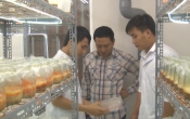 CM  Chuyển động nông thôn ( 08/04/2019 )