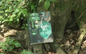 DANH GIA CỔ VẬT