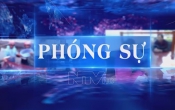 ĐẨY MẠNH THU HÚT DOANH NGHIỆP ĐẦU TƯ LIÊN KẾT NÔNG NGHỆP