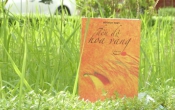 Đến độ hoa vàng