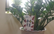 Đồ tể