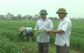 Khởi nghiệp ( 01/05/2019 )