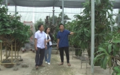 Khởi nghiệp ( 02/04/2019 )