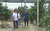 Khởi nghiệp ( 23/02/2021 )