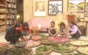 Khởi nghiệp  26/4/2022