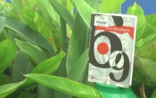 MN1CS:  69