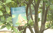 MN1CS  Bước đường cùng