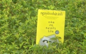 MN1CS:  Cảm ơn người lớn
