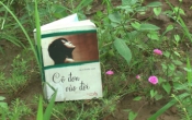MN1CS:  Cô đơn vào đời