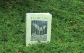 MN1CS:  Cọ hoang