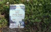 MN1CS:  Con không NGỐC con chỉ THÔNG MINH theo một cách khác