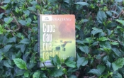 MN1CS:  Cuộc đấu của gà chọi