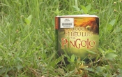 MN1CS:  Cuộc phiêu lưu của PINLOGO