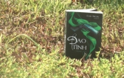 MN1CS:  Đạo tình