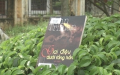 MN1CS:  Giai điệu dưới tầng hầm