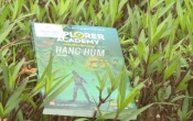 MN1CS:  Hang hùm