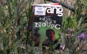 MN1CS:  Hạt bụi người bay ngược