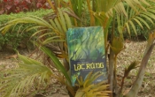 MN1CS:  Lạc rừng