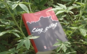 MN1CS:  Láng giềng