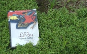 MN1CS:  Lê Vân YÊU và SỐNG