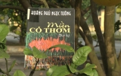 MN1CS:  Miền cỏ thơm