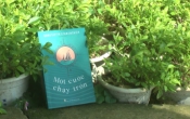 MN1CS:  Một cuộc chạy trốn