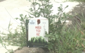 MN1CS:  Mười tội ác