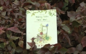 MN1CS:  Nắng trên hiên nhà