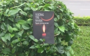 MN1CS:  Ngoài trời lại có trời