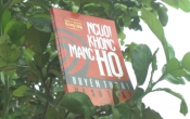 MN1CS:  Người không mang họ 