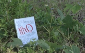 MN1CS:  Nhọ