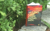 MN1CS:  Những con chim hồng hộc